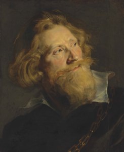 Sir Peter Paul Rubens, Head of a bearded man