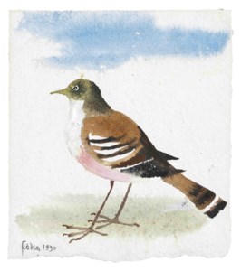 Whitethroat