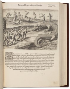 The Great and Small Voyages, Theodor de Bry, 1580-1634