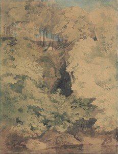Greta Woods, North Yorkshire