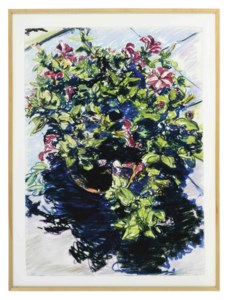 Petunias