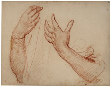 Étude de deux bras et mains