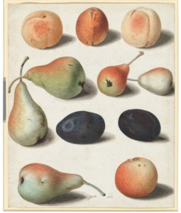 Poires, pêches et prunes; et Abricots, pêches et prunes