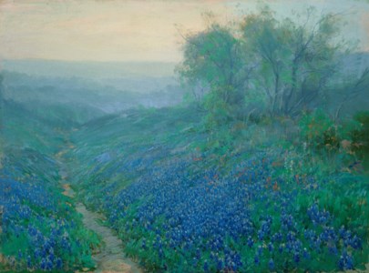 Bluebonnets at Dawn, North of San Antonio