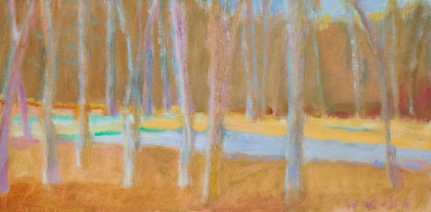 A Swamp in November