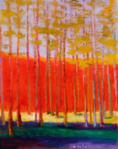 Young Pines