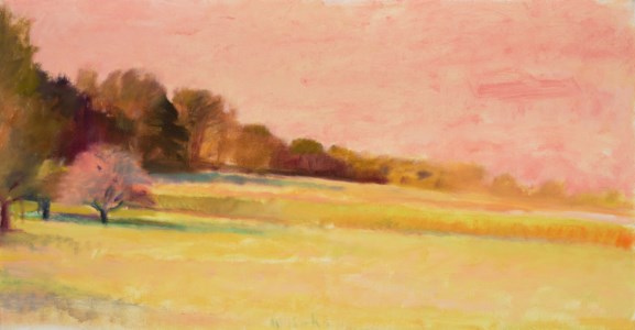 Cornfield in the Evening
