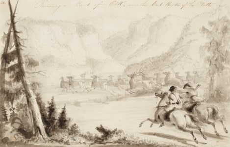 Running a Bank of Elk, Near the Cut Rocks of the Platte