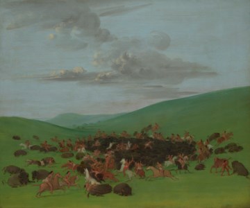 George Catlin, Buffalo Chase, A Surround by the Hidatsa