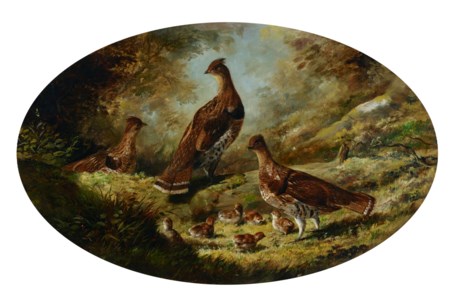 Grouse Family