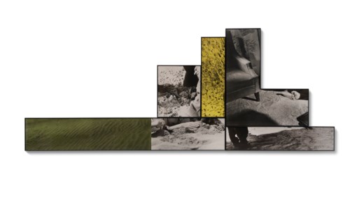 Oasis