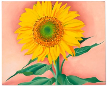 Georgia O'Keeffe, A Sunflower from Maggie