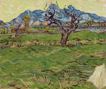 Van Gogh, Champs pr ès des Alpilles