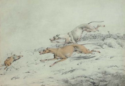 The Rabbit Hunt
