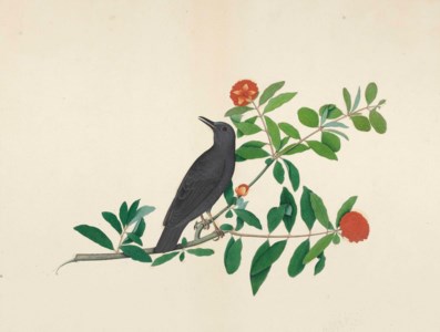 ATTRIBUTED TO SHAYKH ZAYN AL-DIN, CALCUTTA, INDIA, CIRCA 1780