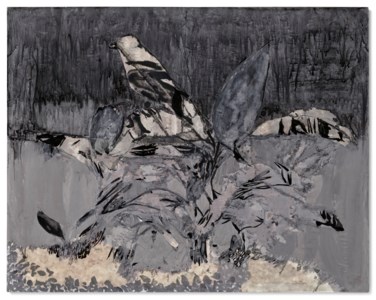 Plant Study