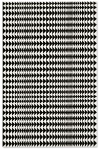 Bridget Riley, Reverse