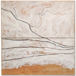 Mario Schifano, Grande Particolare (Large Detail)