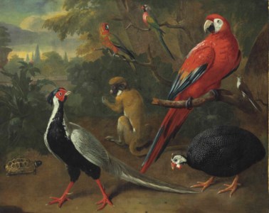 A scarlet macaw, helmeted guineafowl, silver pheasant, and other exotic birds with a monkey and a tortoise in a garden, a landscape beyond