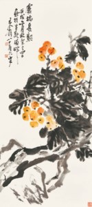 Ripe Loquats in Summer