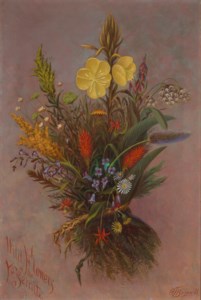 Wild Flowers of the Yosemite