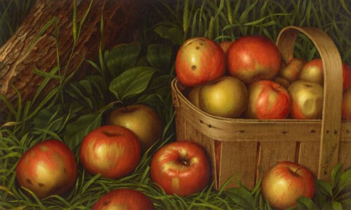 Harvest of Apples