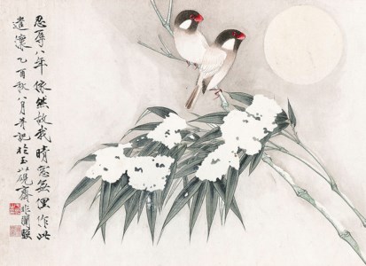 Flowers and Birds