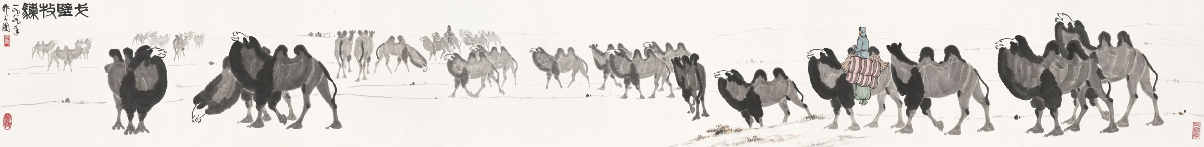Travelling Camels