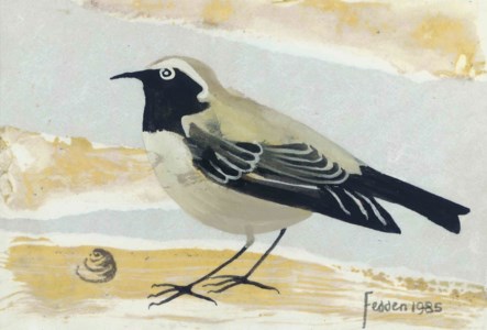 Wheatear
