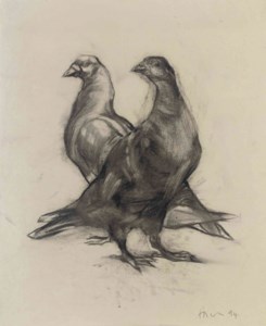 Pigeons
