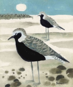 Sea Birds