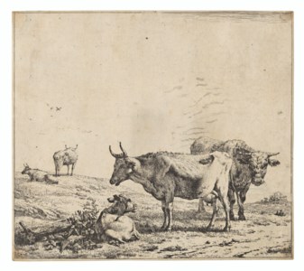 The Cow, the Bull and the Calf