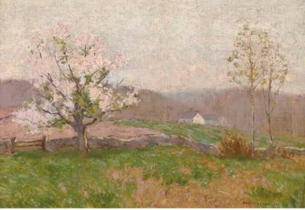 Spring blossoms