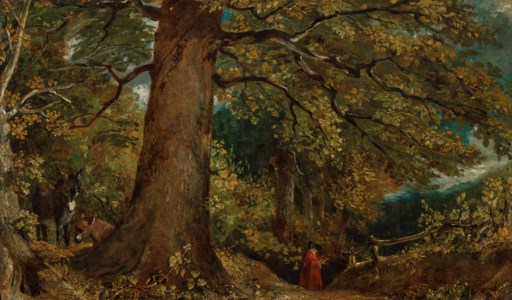 Woodland landscape