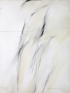 Iris II