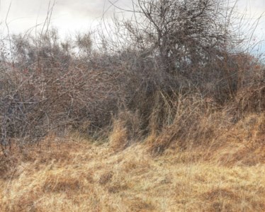 Untitled 2353