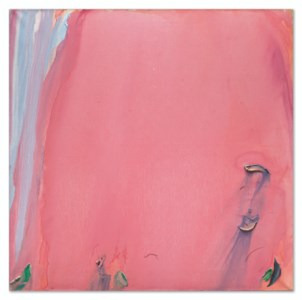 Rose de Petra
