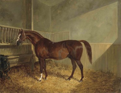 Pantaloon in a stable