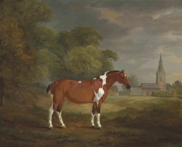 Pat , a skewbald cob belonging to Colonel John Frewen Turner (1755-1829), of Cold Overton Hall, Leicestershire
