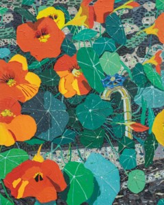 Nasturtiums