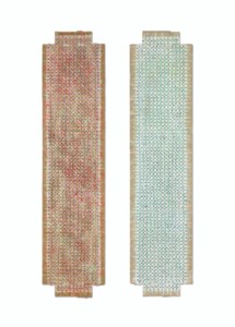 Appearance of Crosses 99-B16 & Appearance of Crosses 99-B26