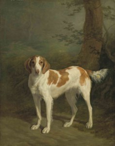 Jacques-Laurent Agasse, Dash, a setter in a wooded landscape