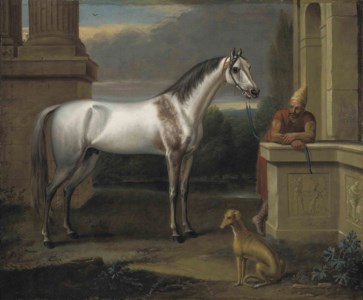 Lord Harley's Bloody Shouldered Arabian