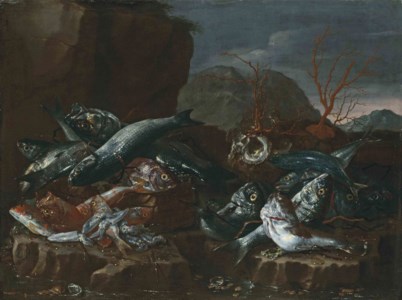 Fish, shells and coral on a rocky shore