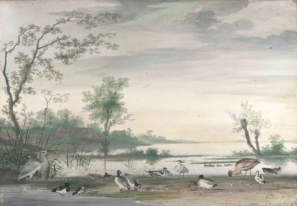Herons, ducks and other waterfowl in a river landscape