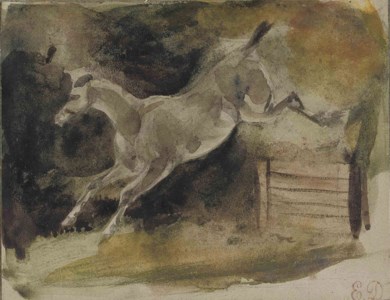 A horse leaping over a gate