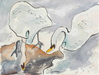 Swans