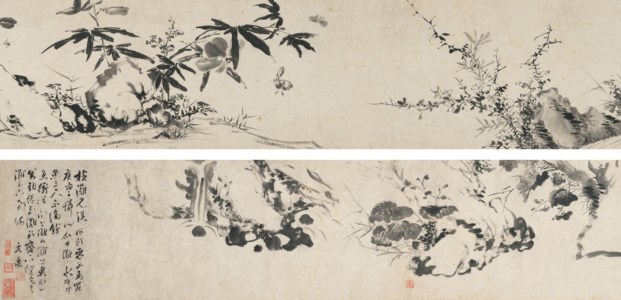 Rocks, Plants and Insects