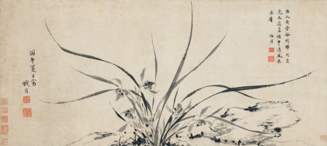 Orchid