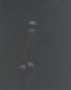 Friedea